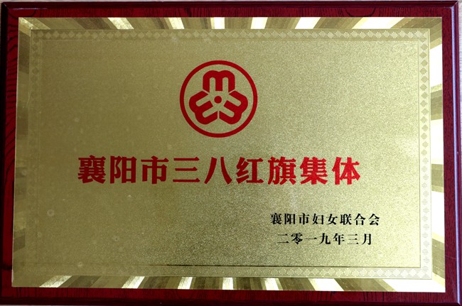 襄陽市三八紅旗集體.jpg