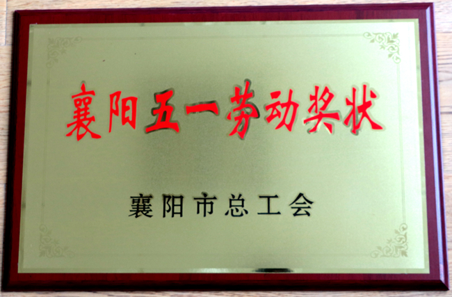 襄陽五一勞動獎狀(網站）.jpg