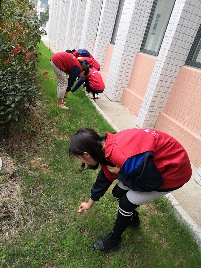 QQ圖片20191107153950.jpg