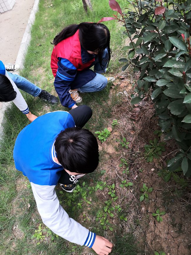 QQ圖片20191107153924.jpg