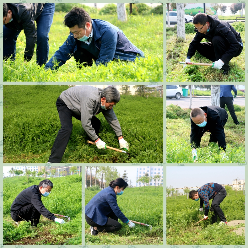 光影魔術手拼圖.jpg